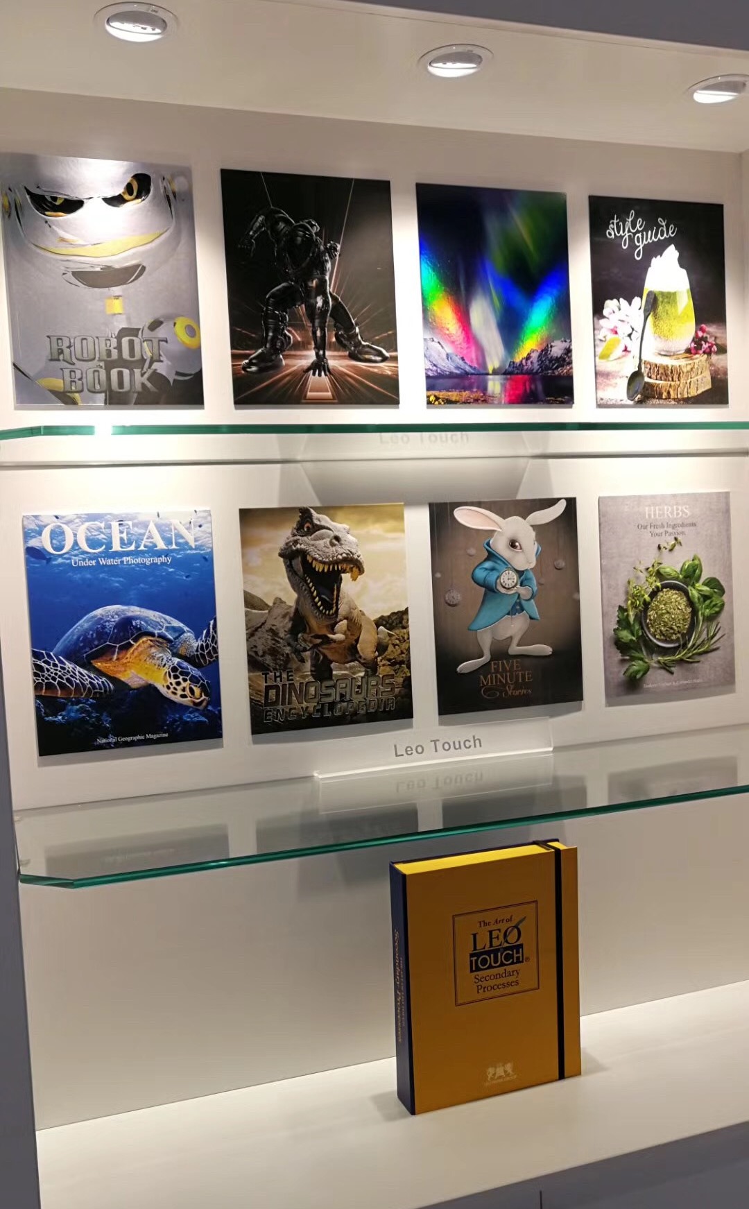 Innovative Initiatives - Leo Touch